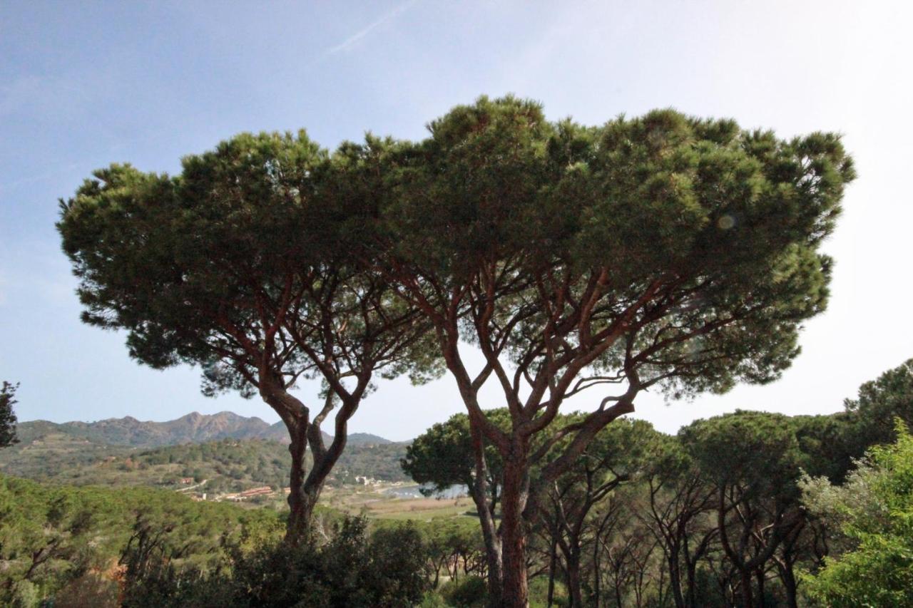 Appartamento Il Mandorlo Capoliveri  Extérieur photo
