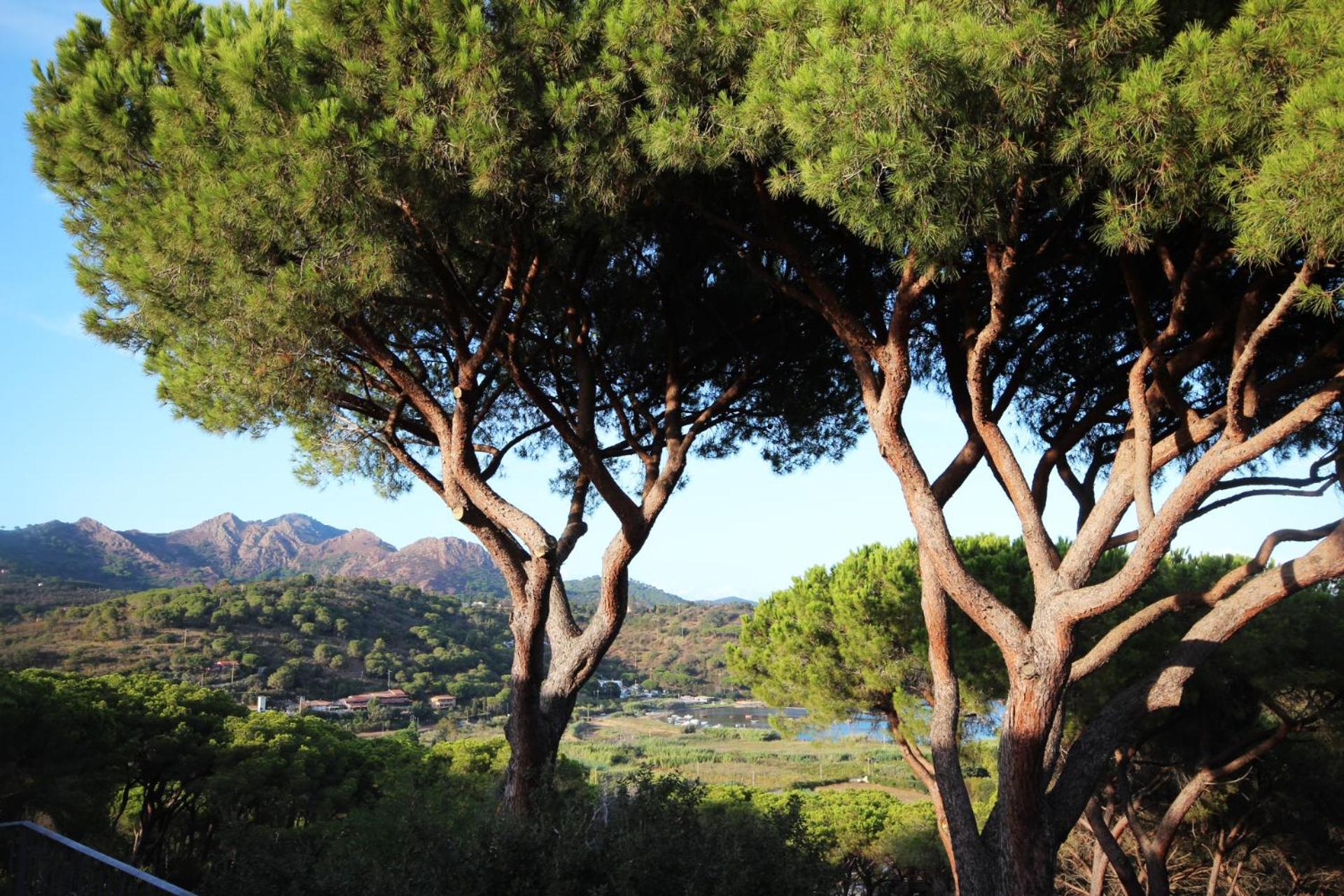 Appartamento Il Mandorlo Capoliveri  Extérieur photo
